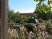 Sensory Garden