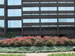 Stony Brook University Simons Garden